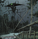 The War of the Worlds (Arrow, 1999), issue 1 cover special edition.