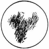 First map of mars