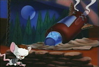 
Pinky and the Brain in Battle for the Planet