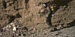 On the surface of Mars in Robinson Crusoe On Mars